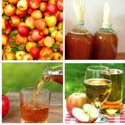 Как правильно делать яблочный сидр? - рецепты и советы