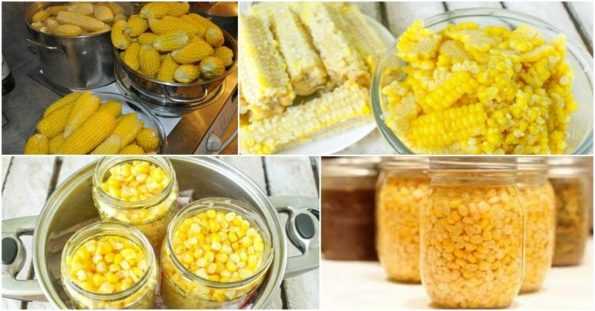 Рецепт - Как законсервировать кукурузу на зиму