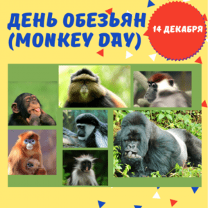 14 декабря - День обезьян - История, факты