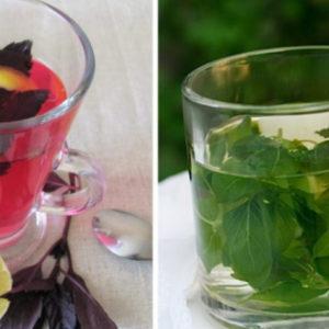 5 весомых причин пить чай с базиликом