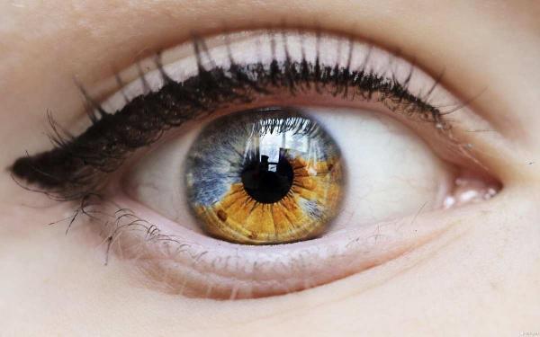 Как связаны цвет глаз и здоровье человека