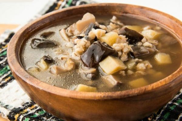 Суп с сушеными грибами и перловкой в мультиварке, рецепт с фото и видео