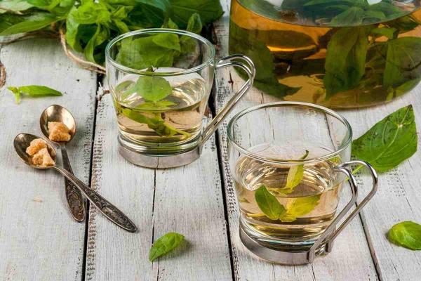 5 весомых причин пить чай с базиликом